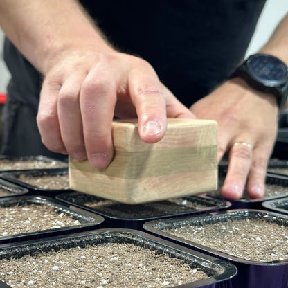 Tiny Tray Soil Tramper